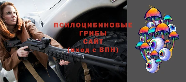 соль курить ск Инсар