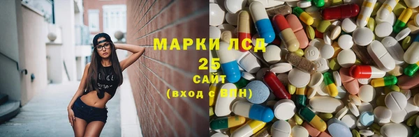 спайс Инта