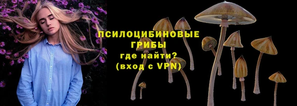 соль курить ск Инсар