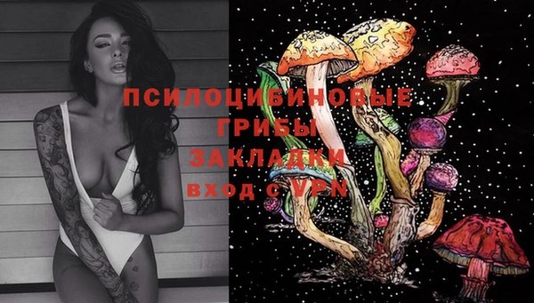 дмт Иннополис