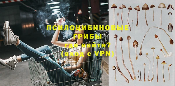 дмт Иннополис