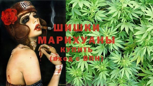 спайс Инта