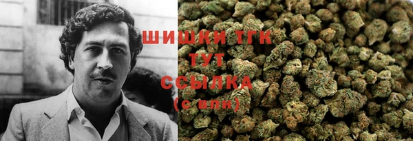 спайс Инта