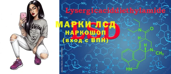 спайс Инта