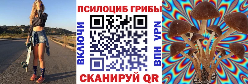 mega tor  Шарыпово  Псилоцибиновые грибы Psilocybe 