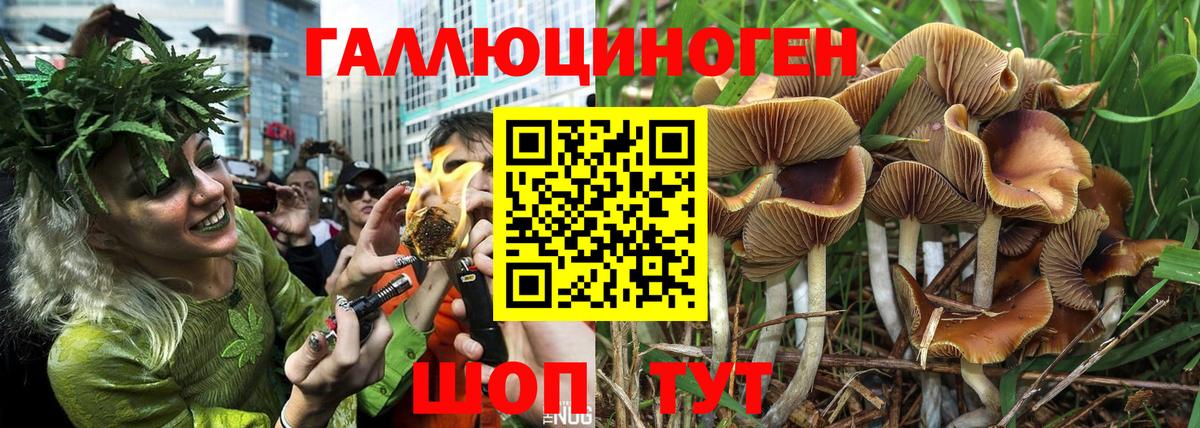 Шарыпово  Галлюциногенные грибы ЛСД  купить закладку  Вход с VPN 