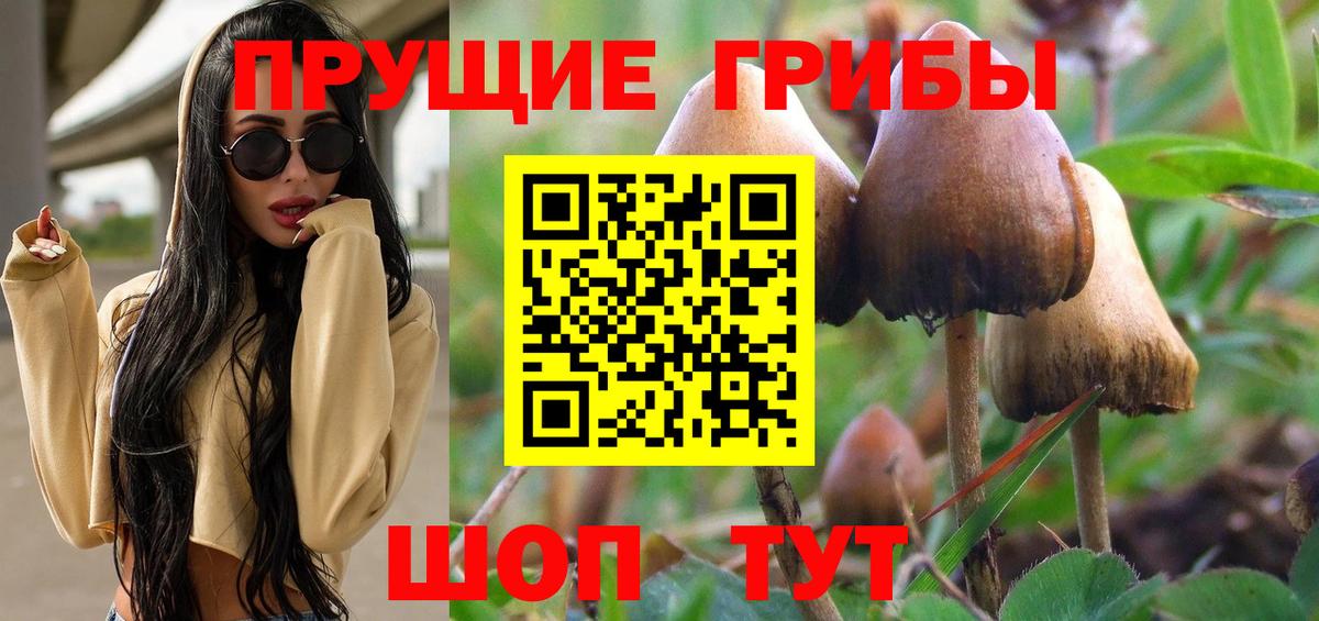 Галлюциногенные грибы мицелий Шарыпово